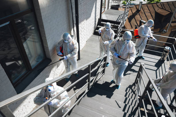 Best Post-Construction Mold Inspection  in Lake Forest, CA